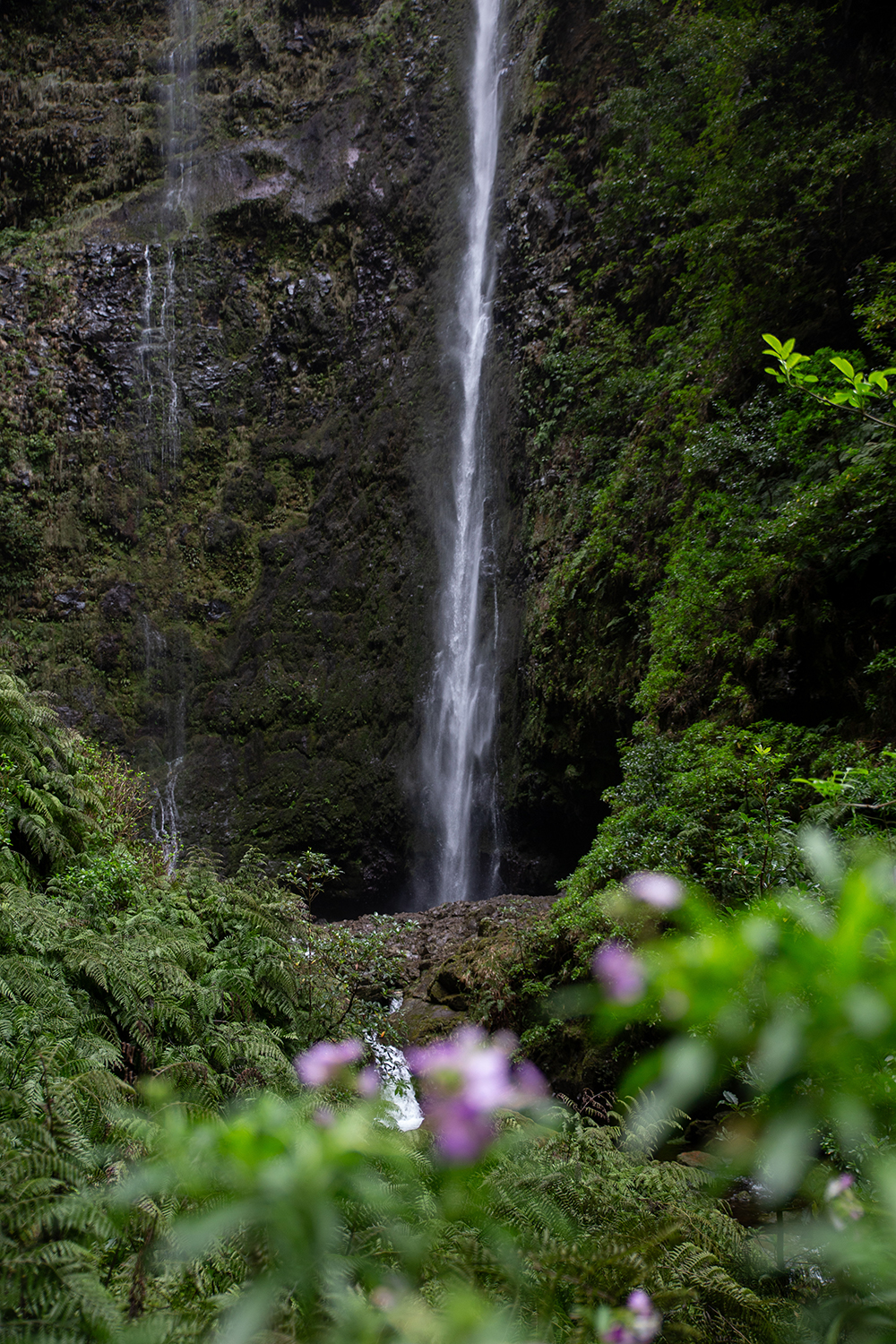 Madeira - randonnée - Levada Caldeirão Verde