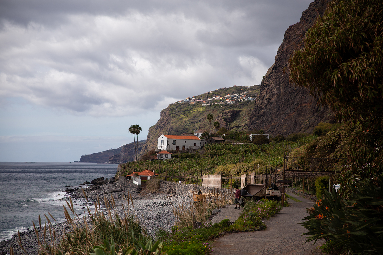 Madeira - Faja dos padres