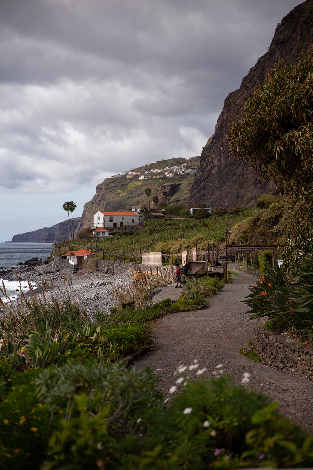 Madeira - Faja dos padres