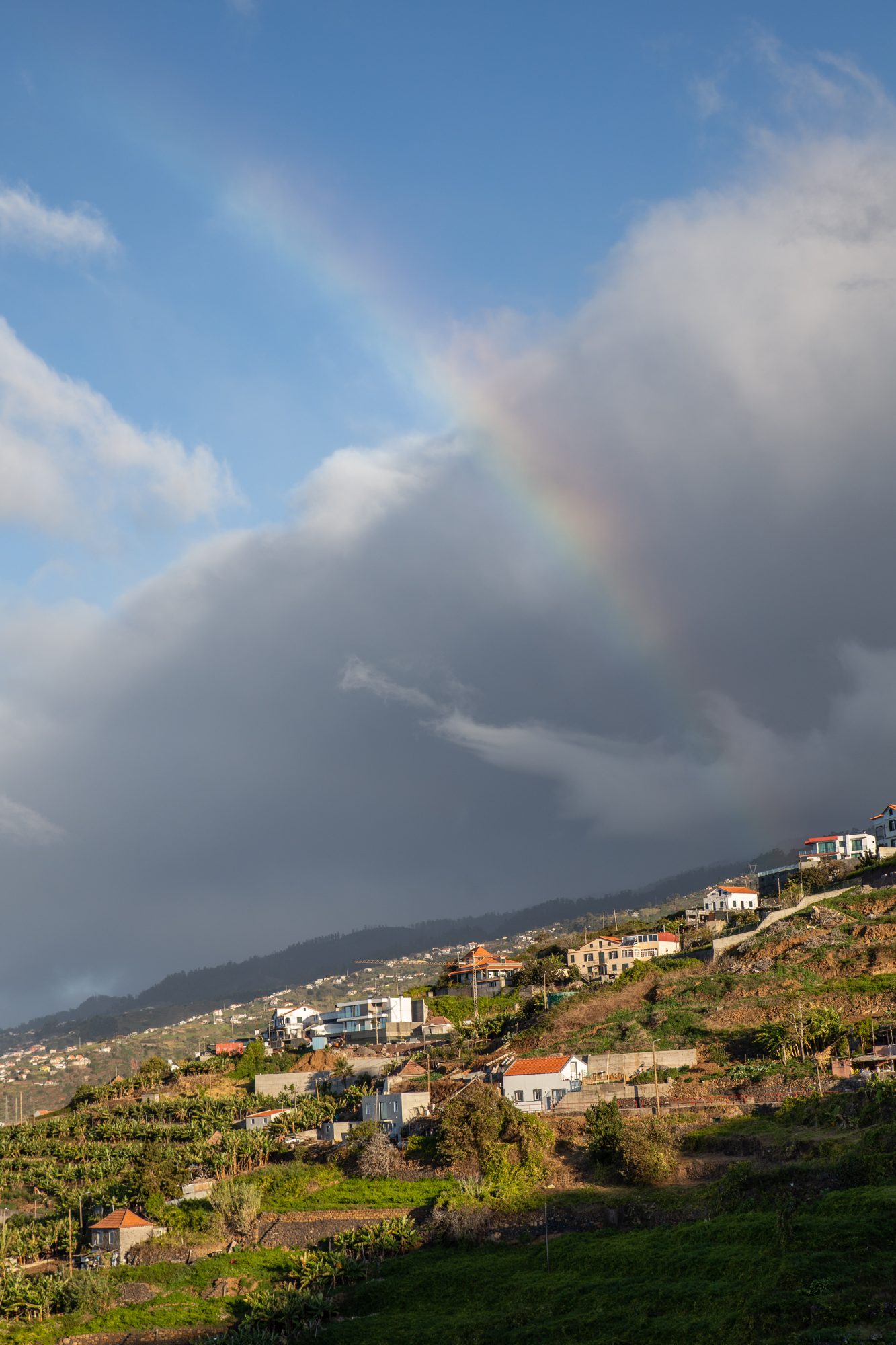 Madeira - Ribeira Brava