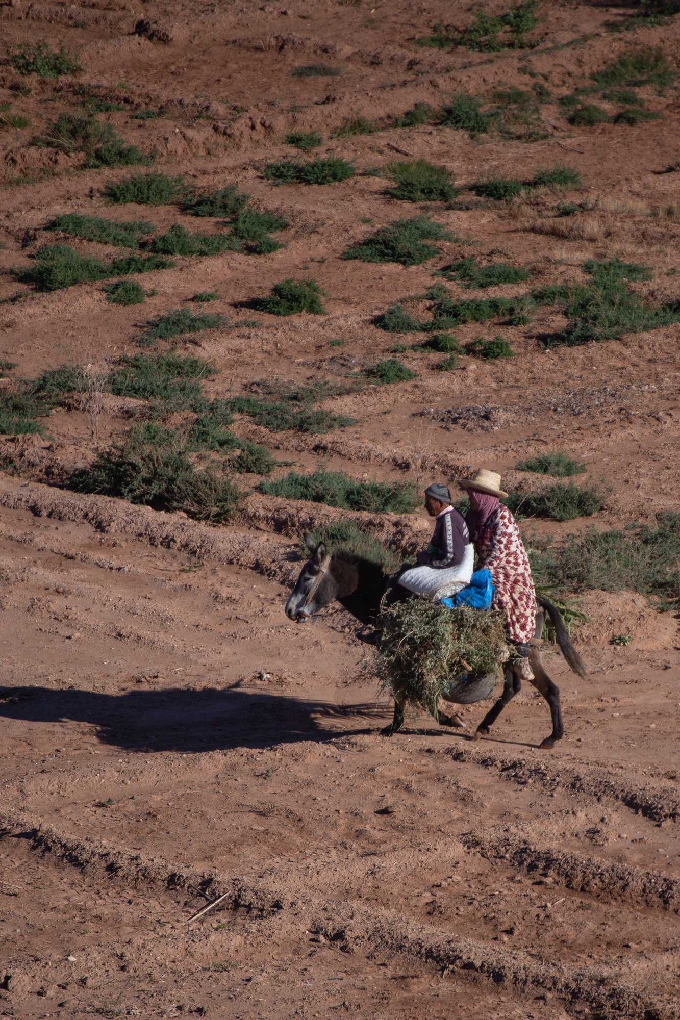 Maroc - Ait Ben Haddou - paperboat.fr