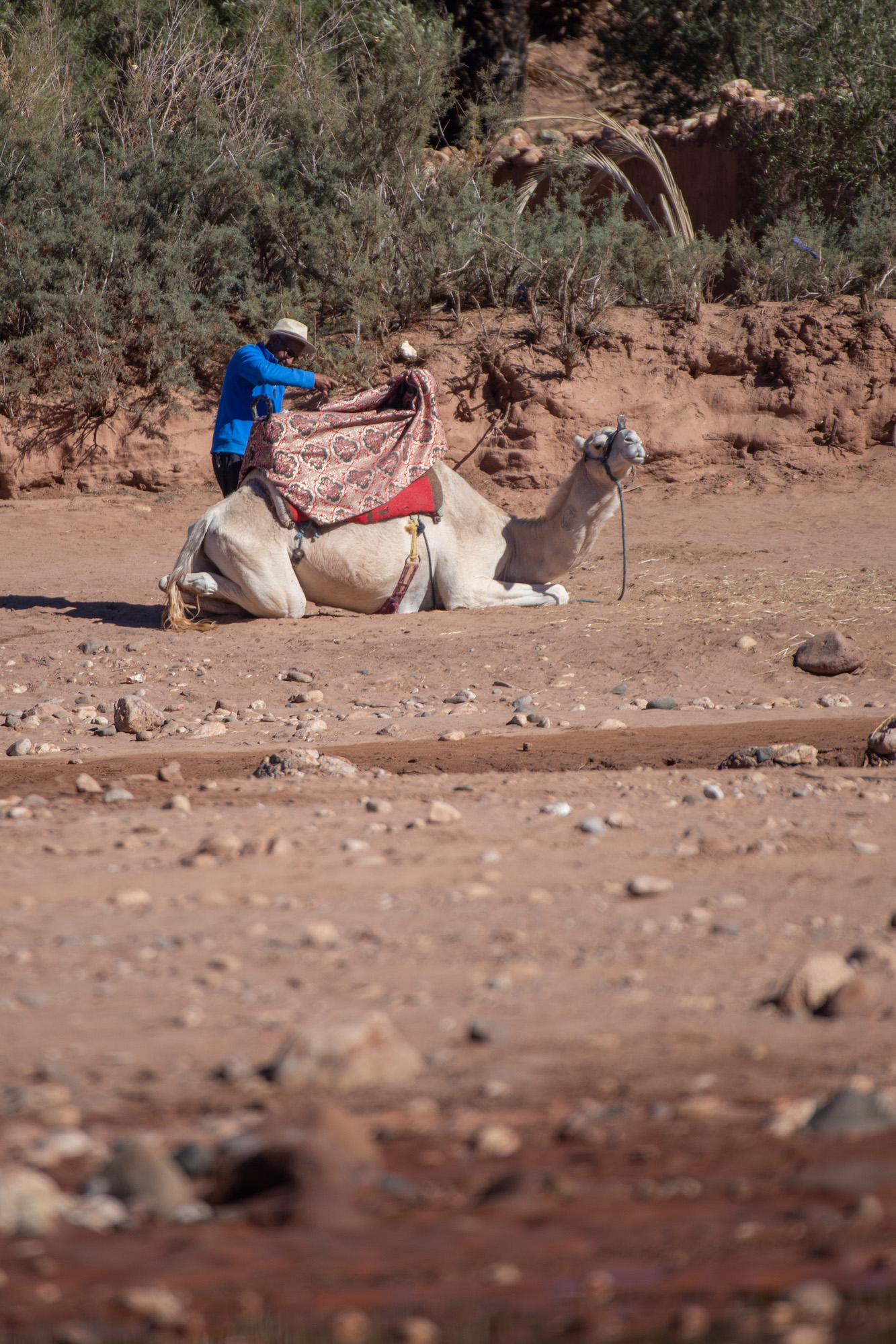 Maroc - Ait Ben Haddou - paperboat.fr