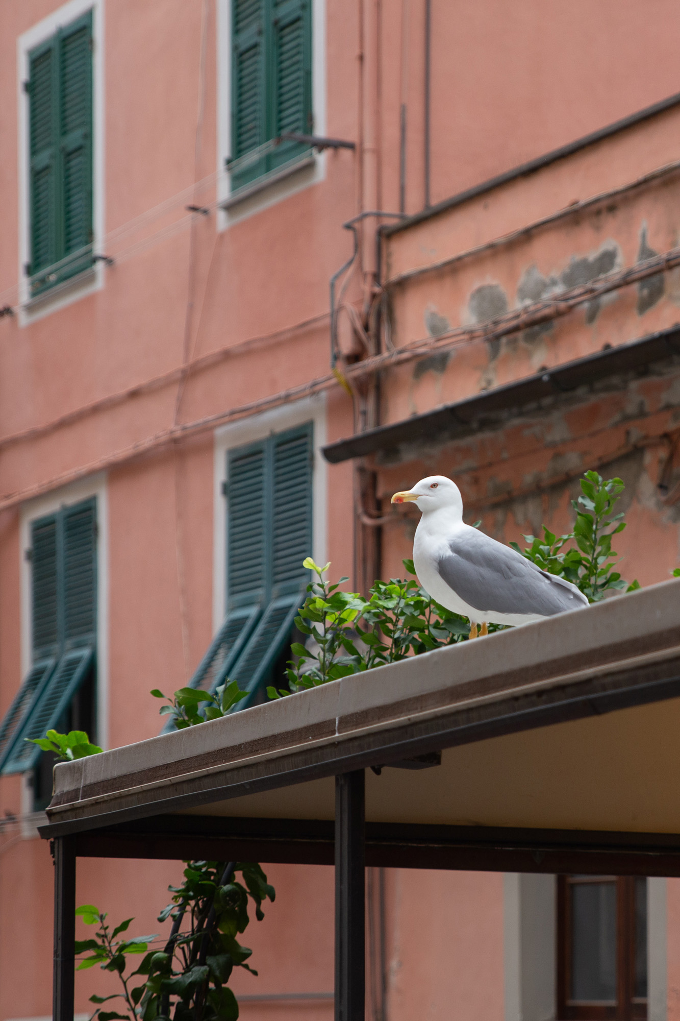 Cinque Terre - Italie - paperboat.fr