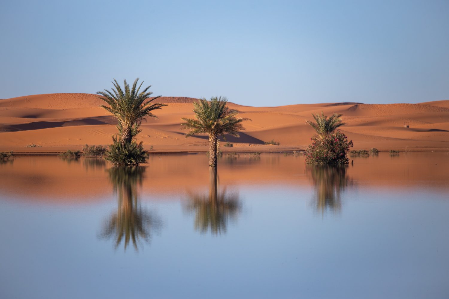 Maroc - Merzouga - paperboat.fr