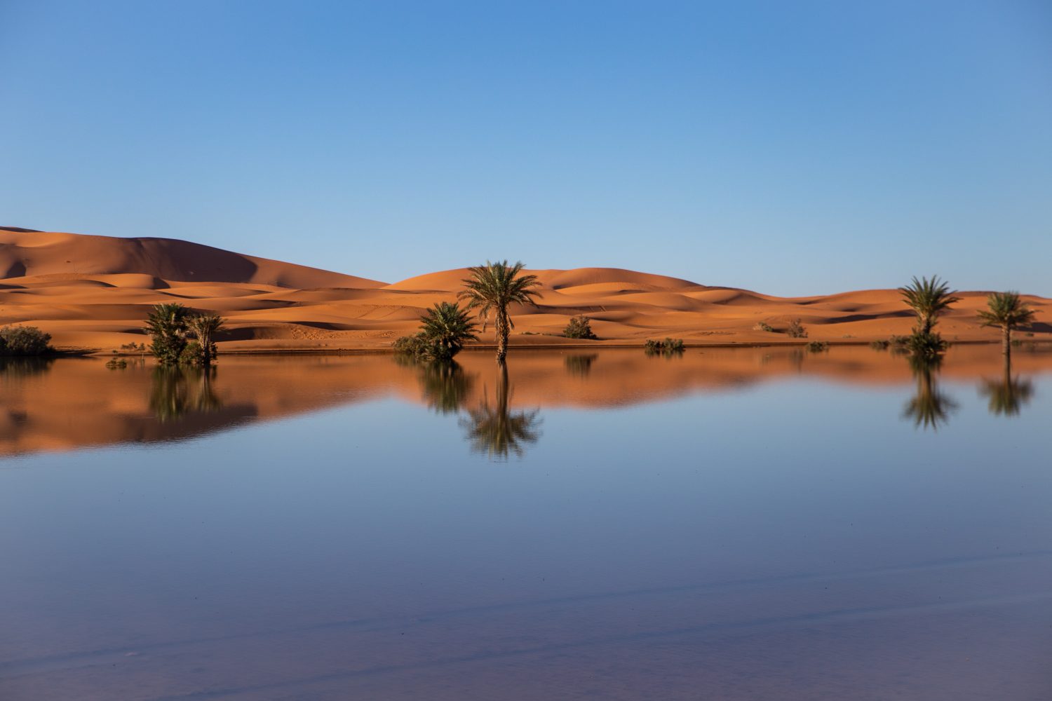 Maroc - Merzouga - paperboat.fr