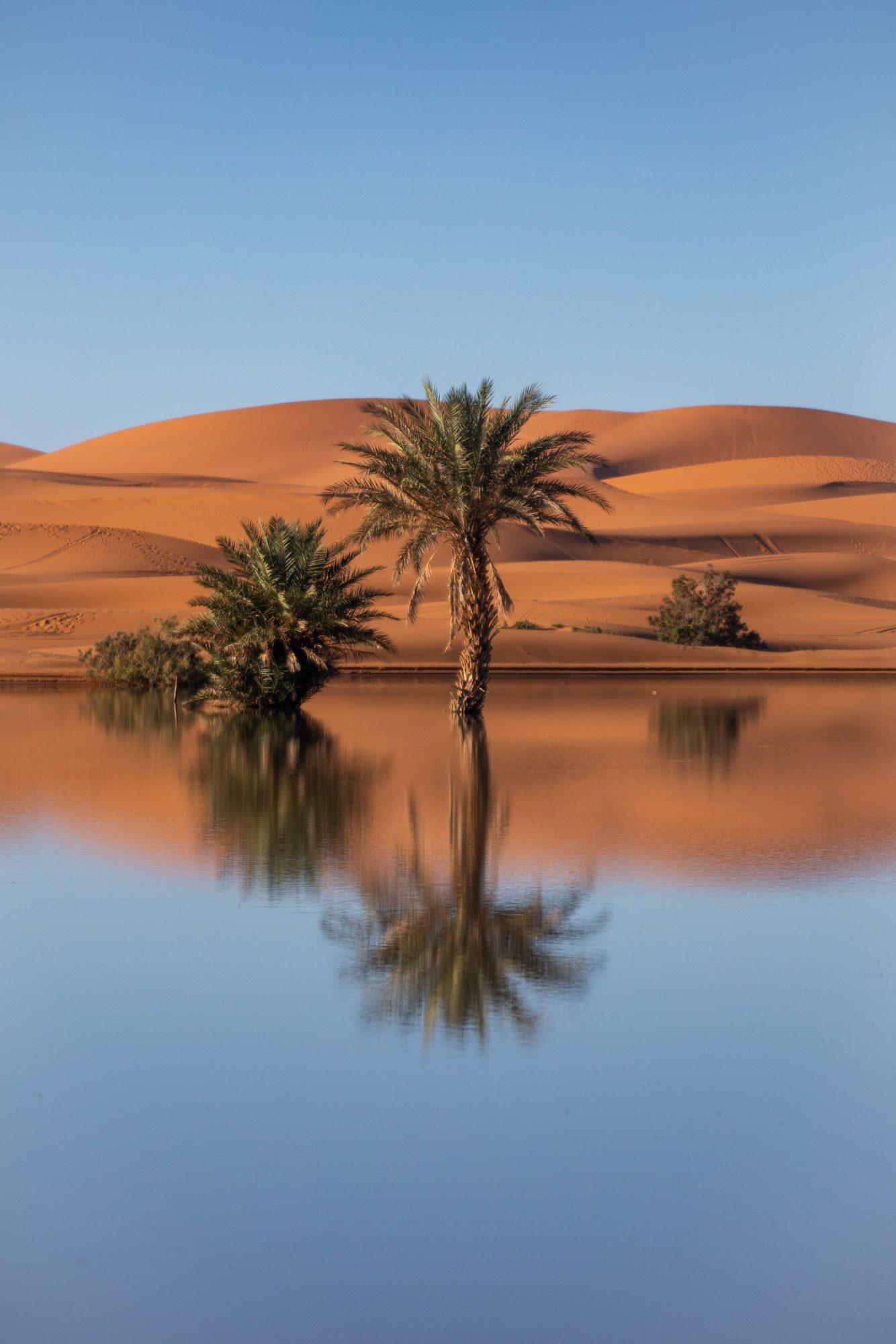 Maroc - Merzouga - paperboat.fr