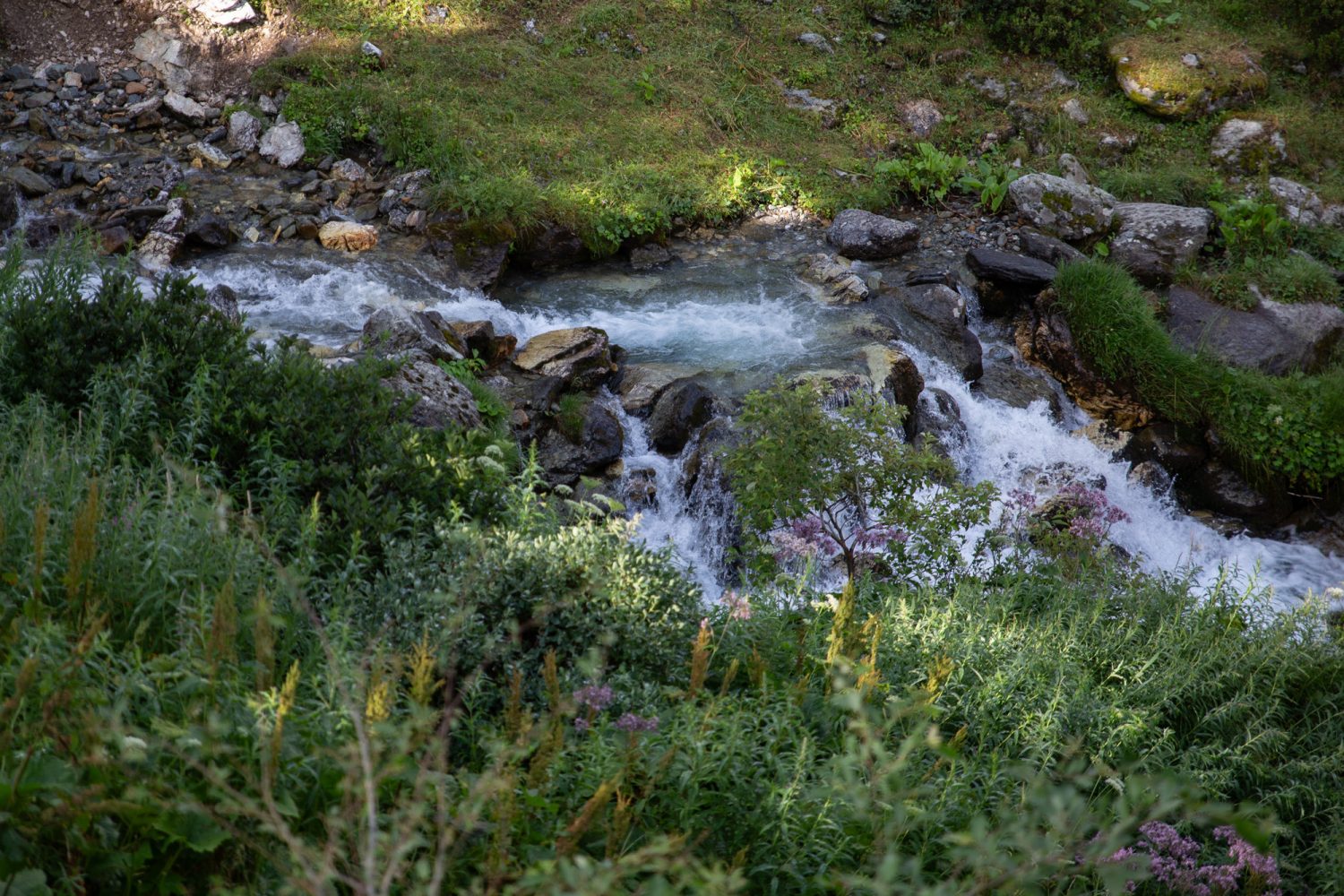 Arc 1950 - Les arcs - été - paperboat.fr