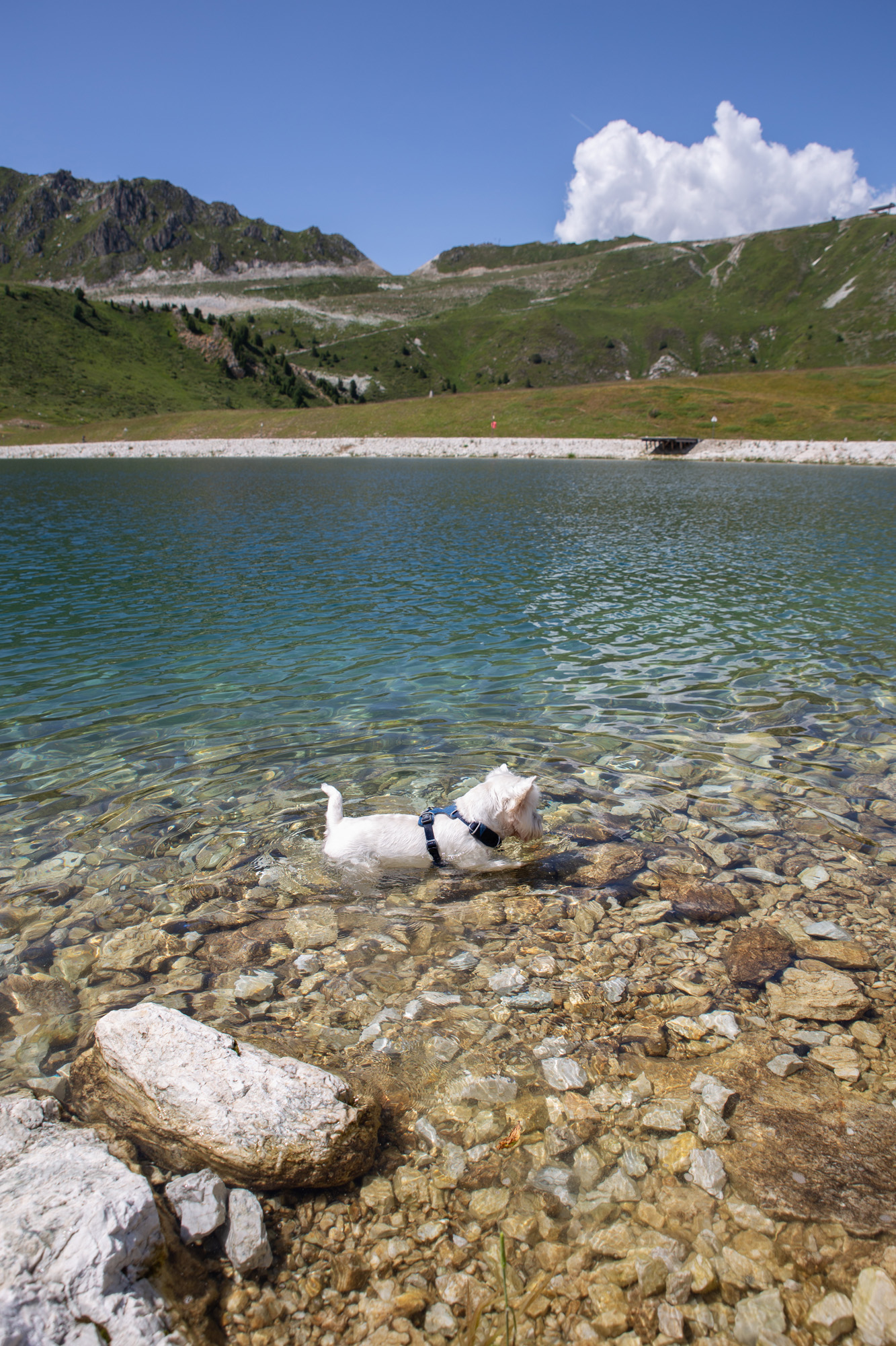 Arc 1950 - Les arcs - été - paperboat.fr