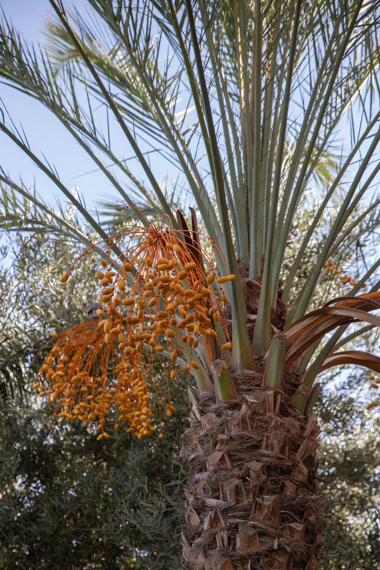 Le Jardin Secret - Marrakech - paperboat.fr